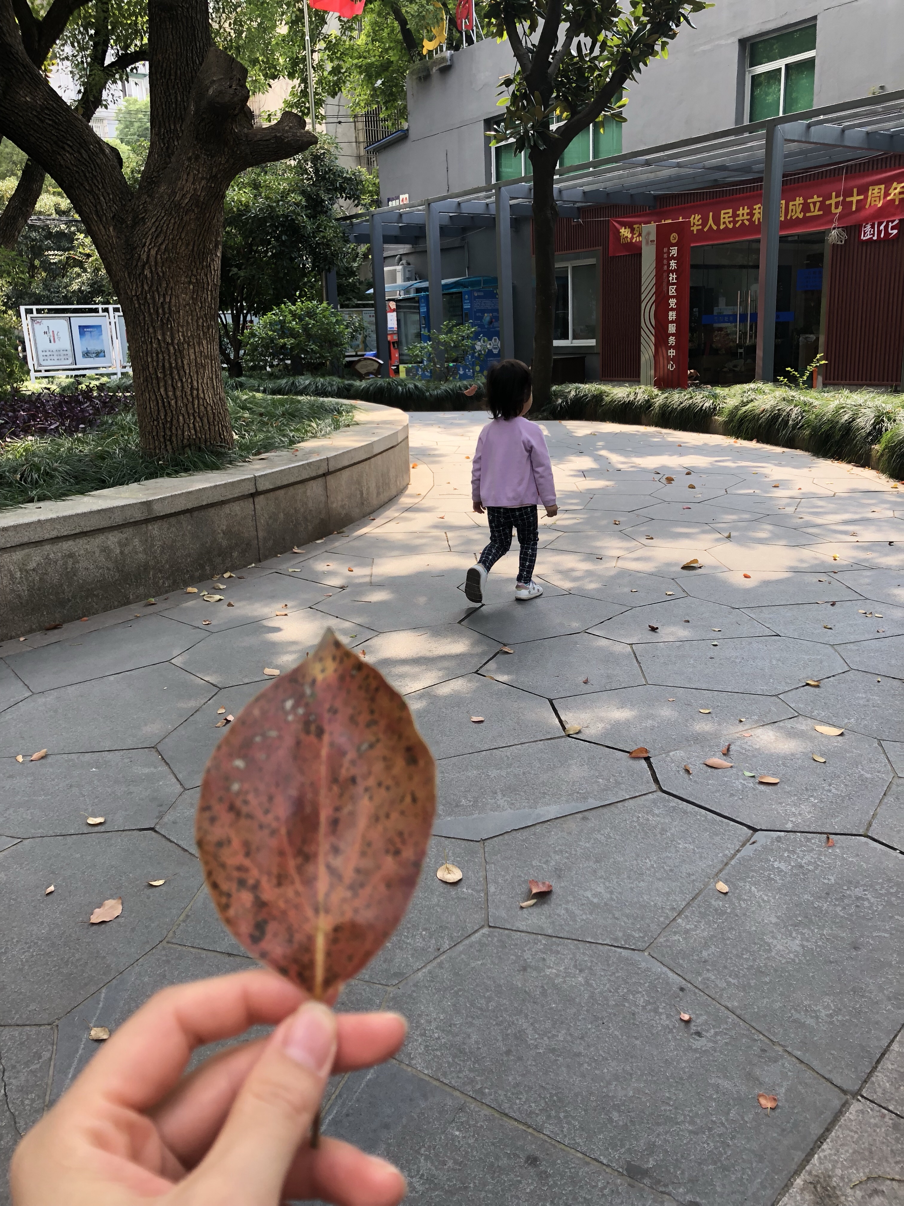 二十七个月的扈小妞
