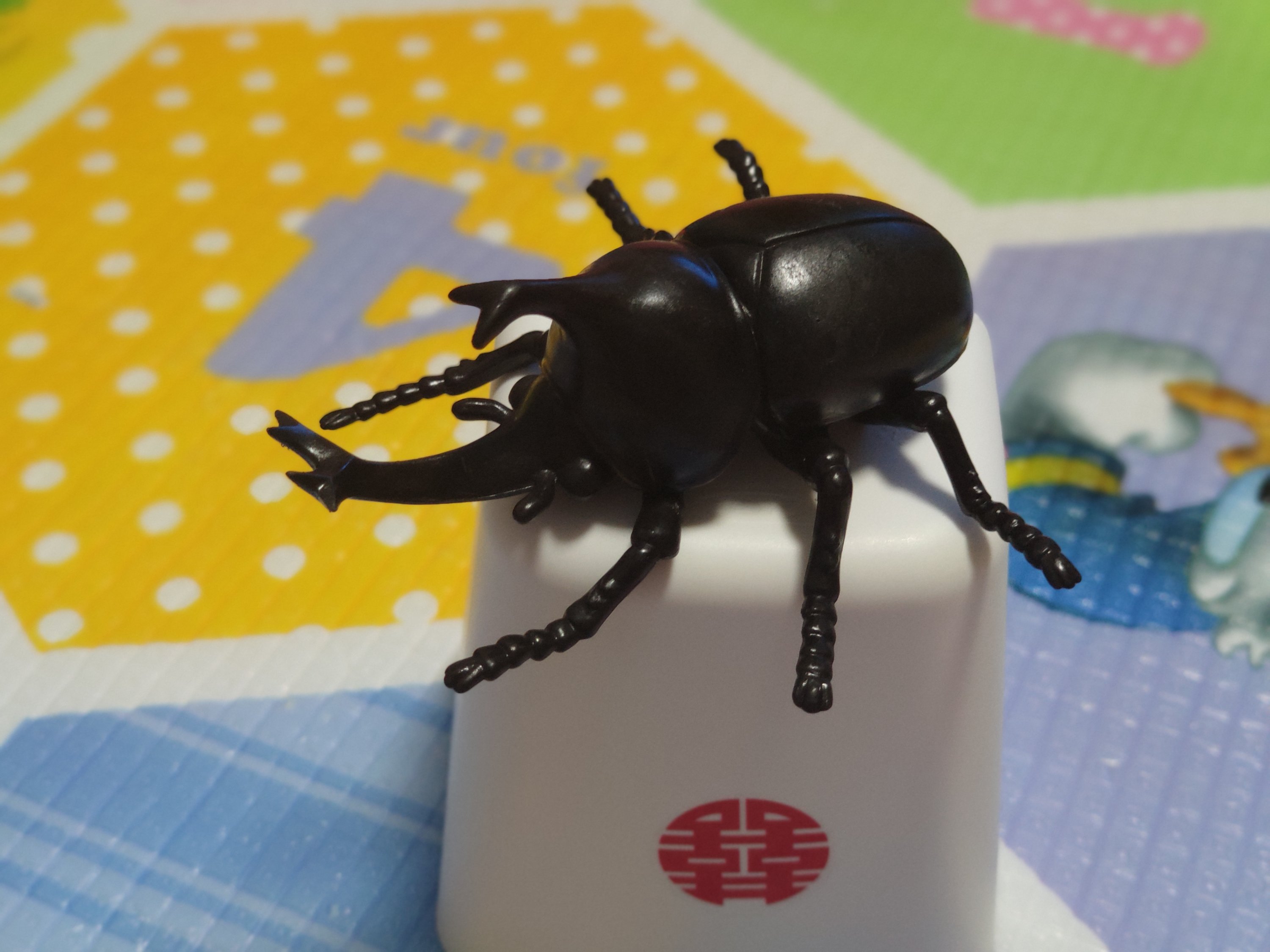 6.18生气的犀牛甲虫