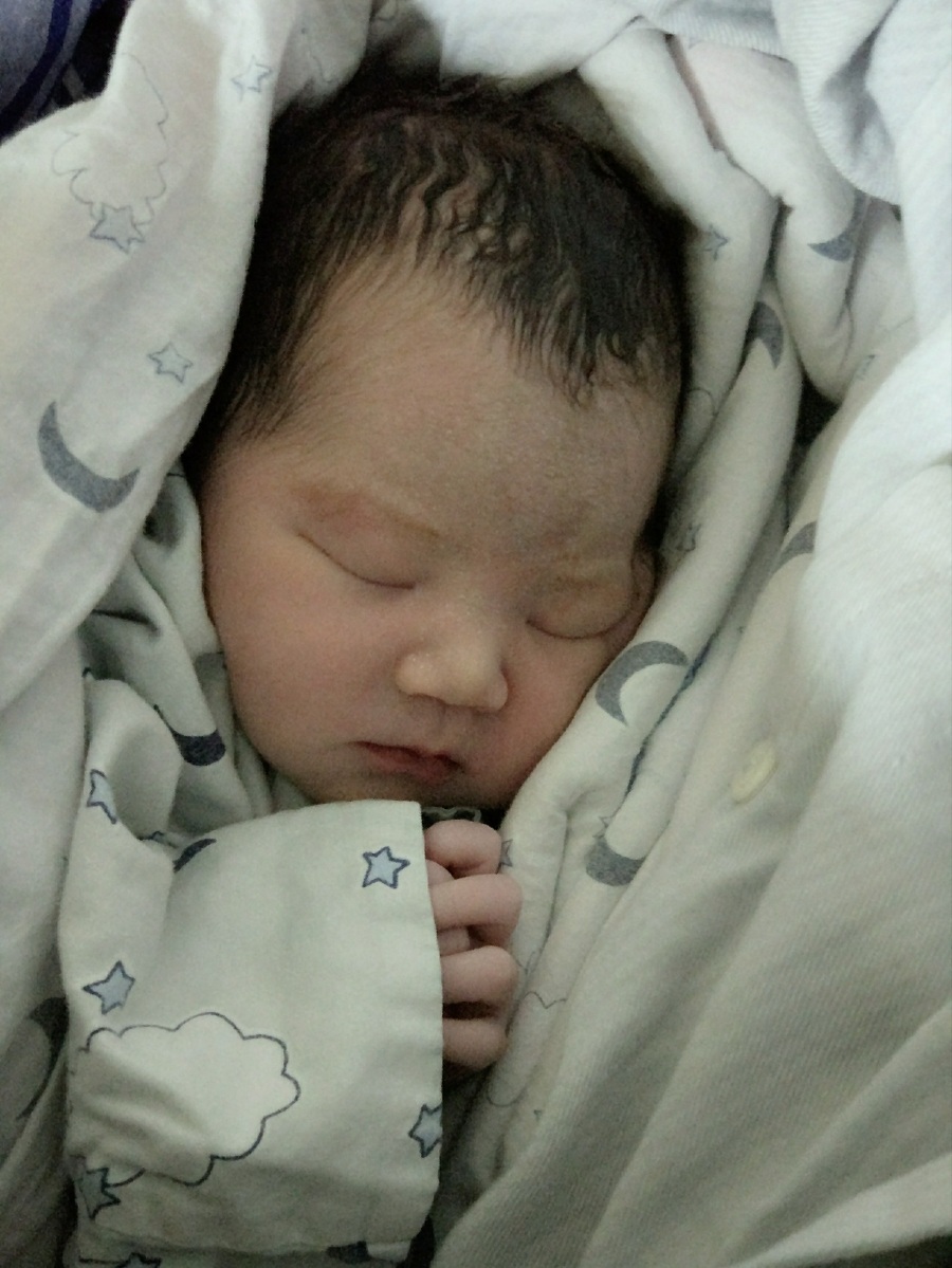 小家伙