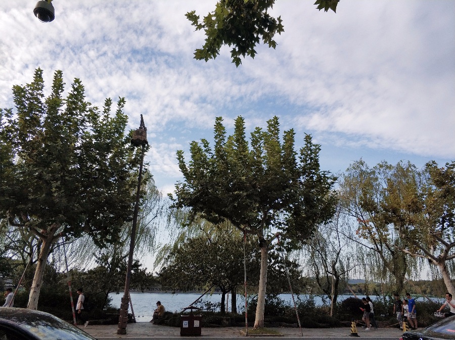 十一 10.1